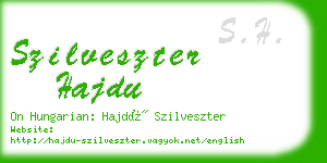 szilveszter hajdu business card